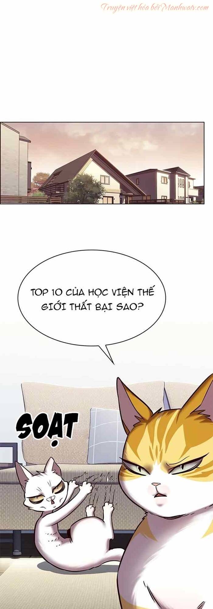 Hoá Thân Thành Mèo: Chapter 240