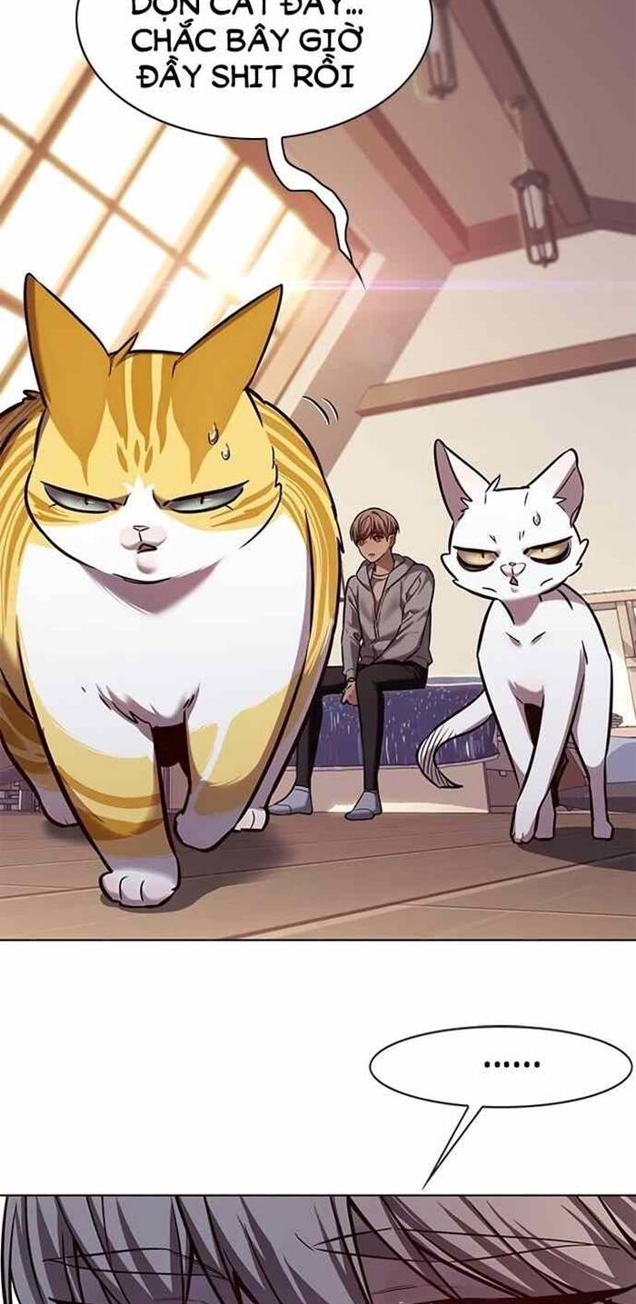Hoá Thân Thành Mèo: Chapter 240
