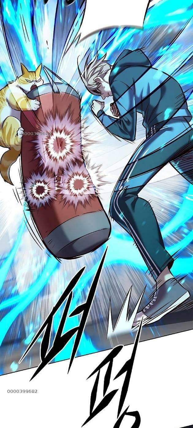 Hoá Thân Thành Mèo: Chapter 241