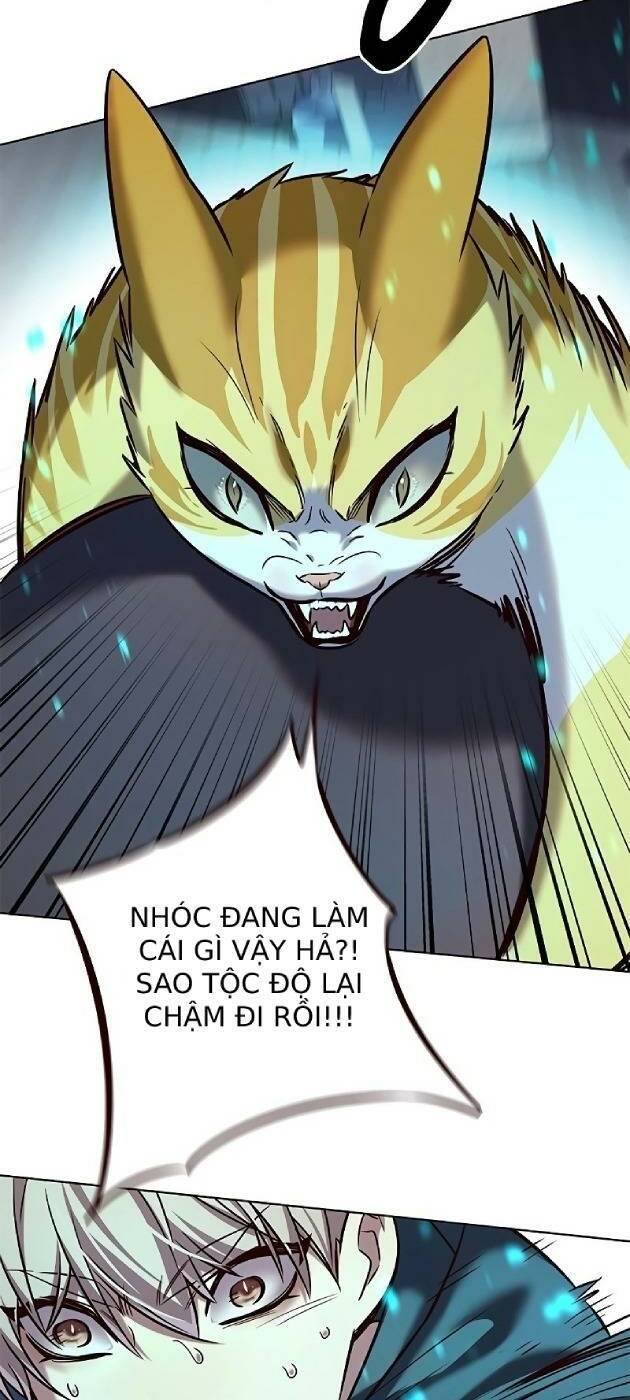 Hoá Thân Thành Mèo: Chapter 241