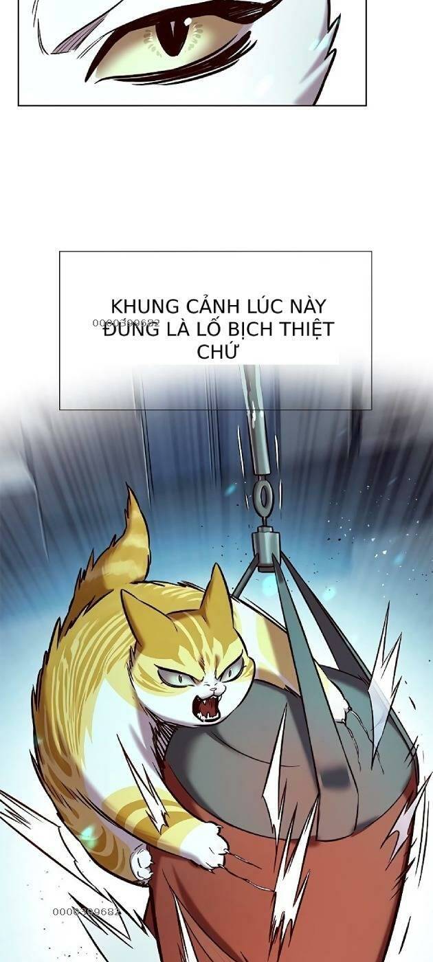 Hoá Thân Thành Mèo: Chapter 241
