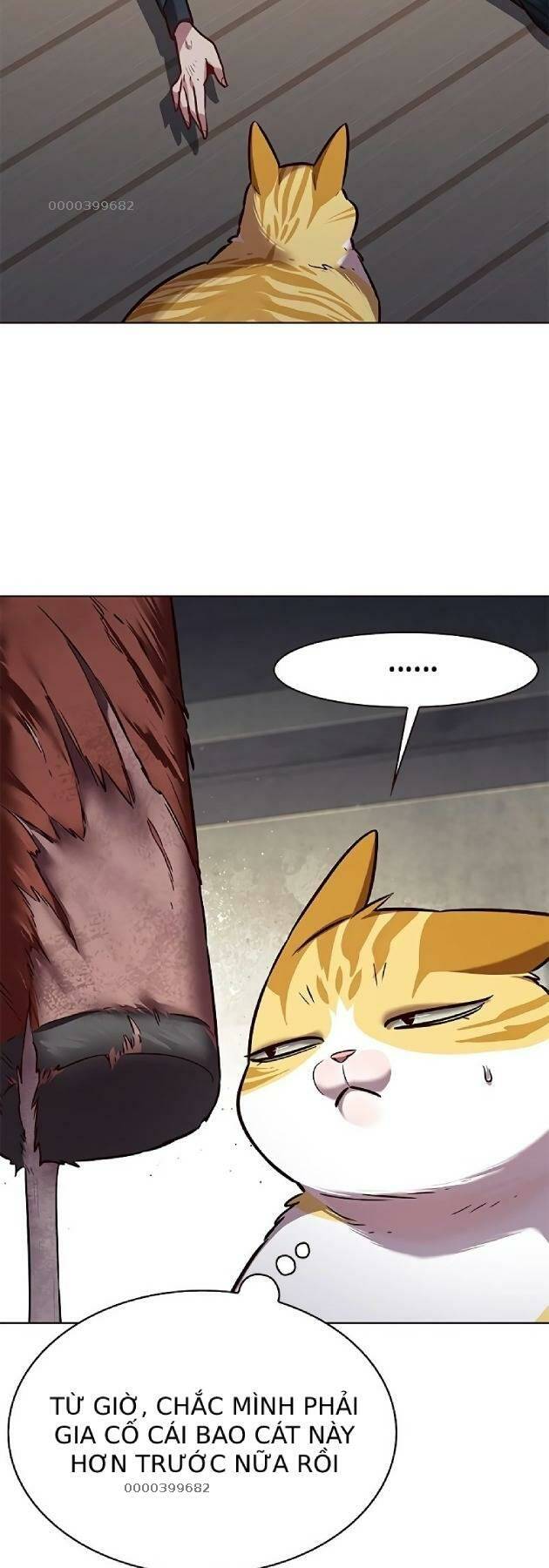 Hoá Thân Thành Mèo: Chapter 241