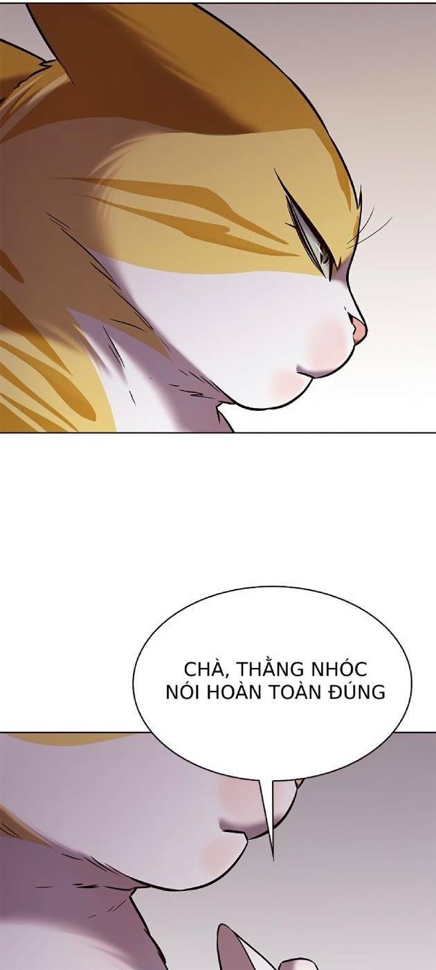 Hoá Thân Thành Mèo: Chapter 241