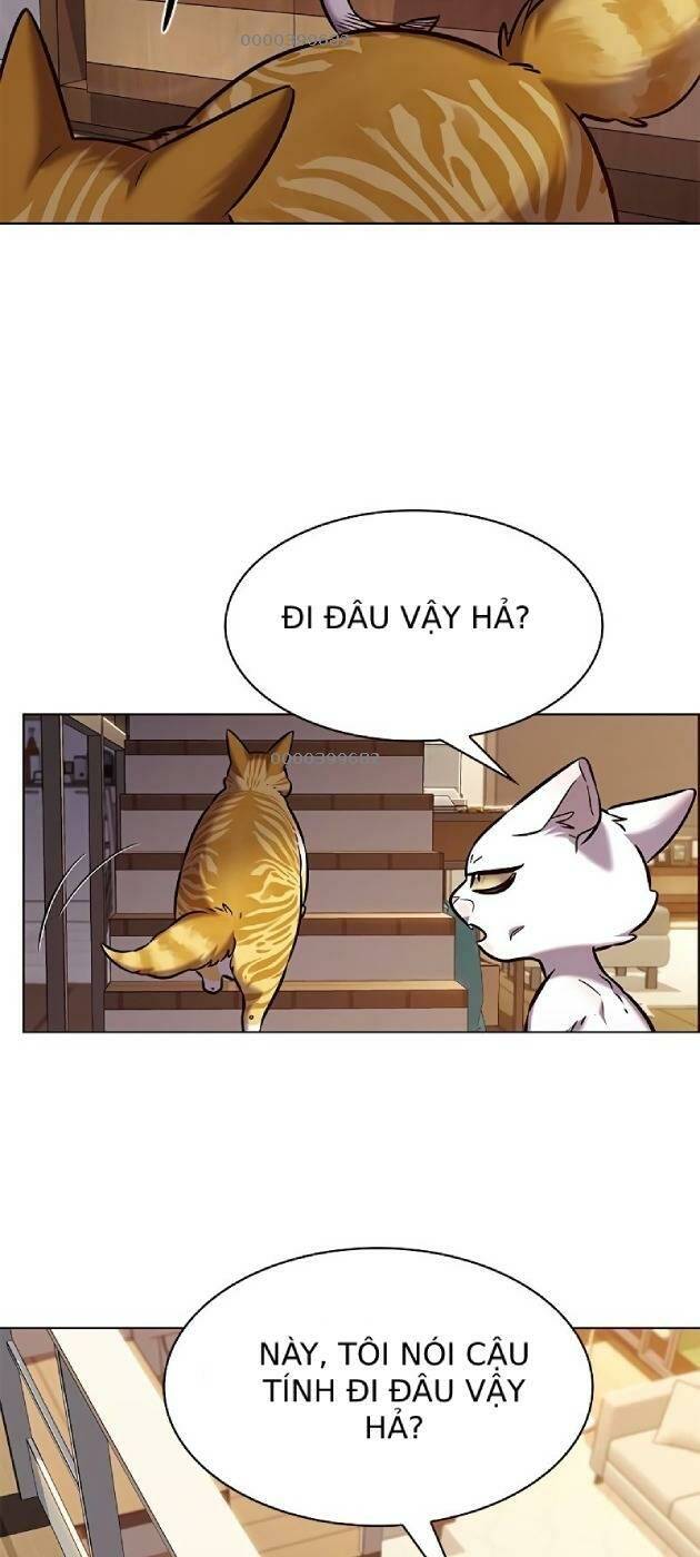 Hoá Thân Thành Mèo: Chapter 241