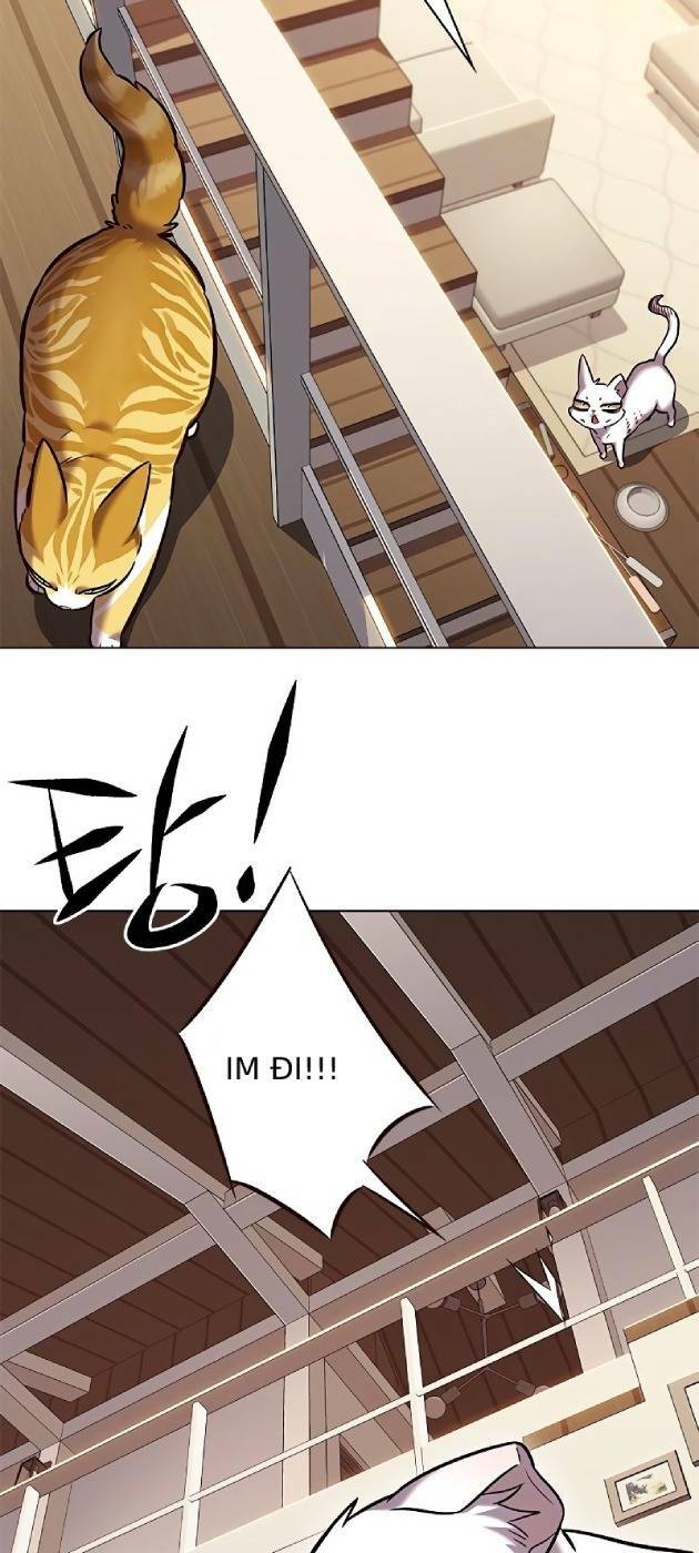 Hoá Thân Thành Mèo: Chapter 241