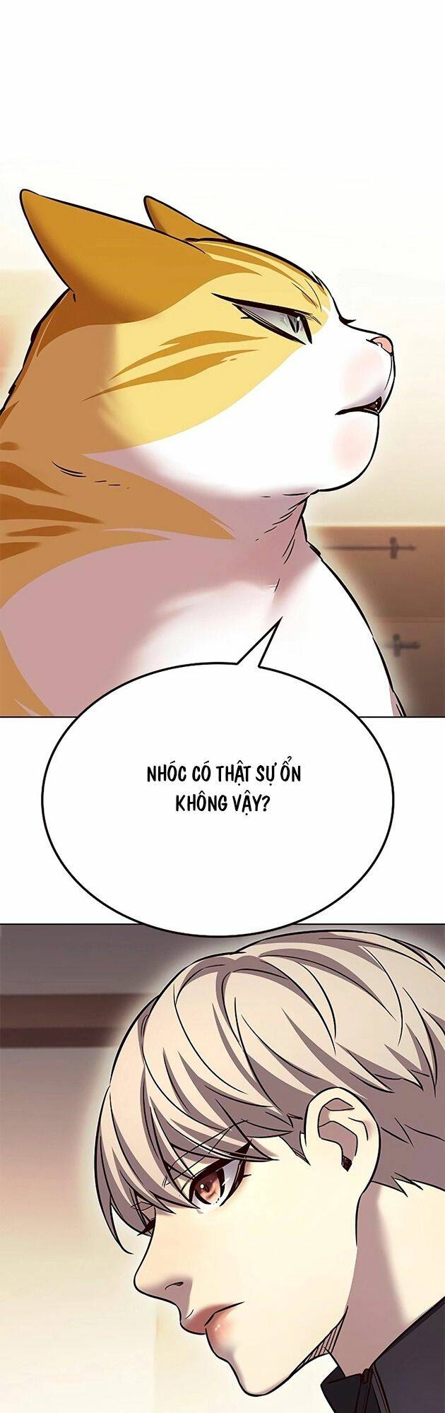 Hoá Thân Thành Mèo: Chapter 242