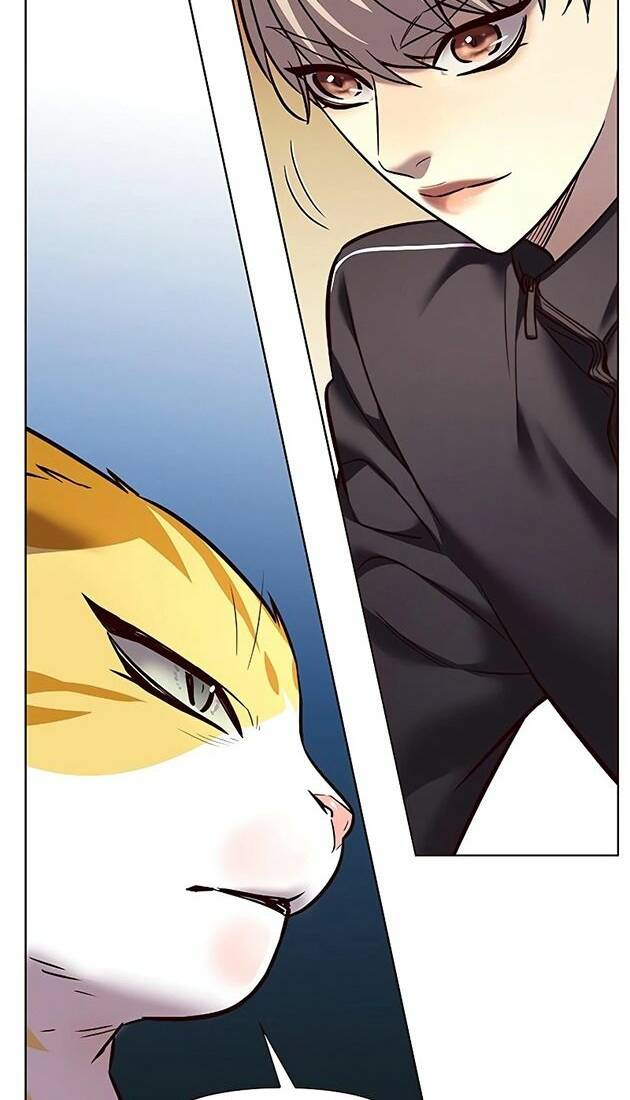 Hoá Thân Thành Mèo: Chapter 242
