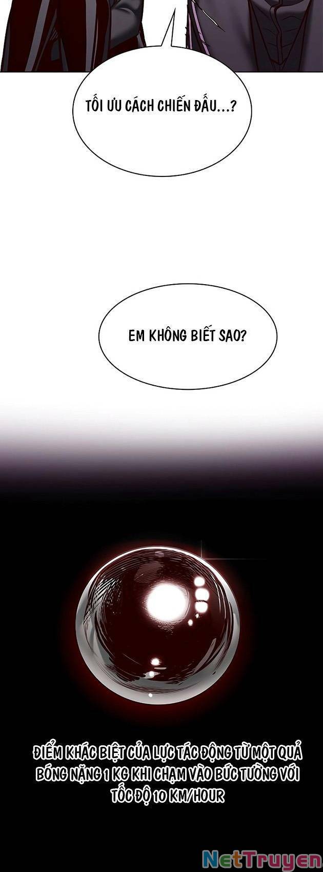 Hoá Thân Thành Mèo: Chapter 243
