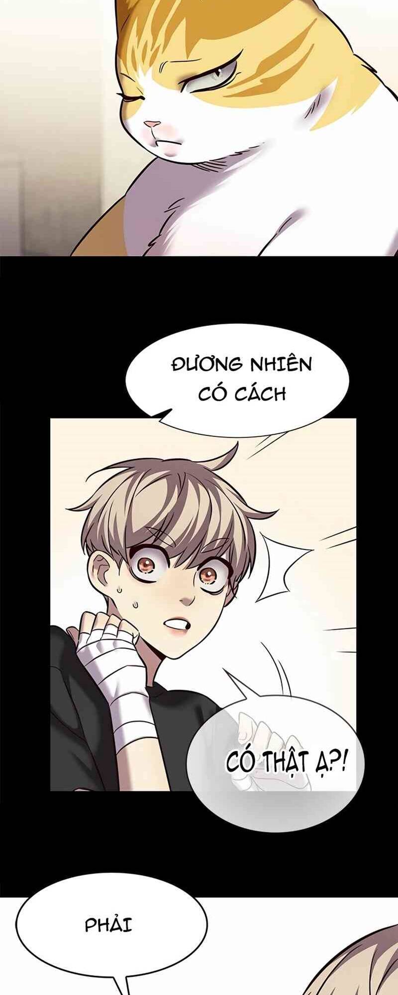 Hoá Thân Thành Mèo: Chapter 244