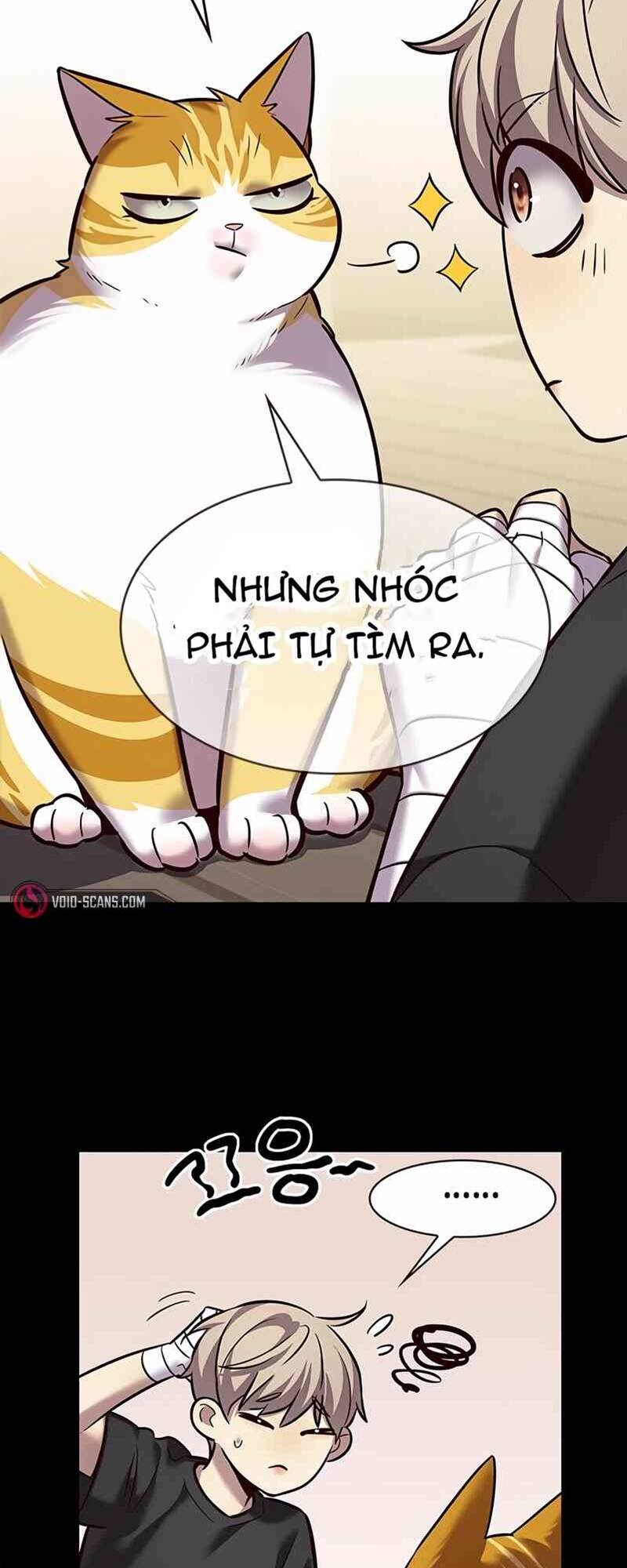 Hoá Thân Thành Mèo: Chapter 244