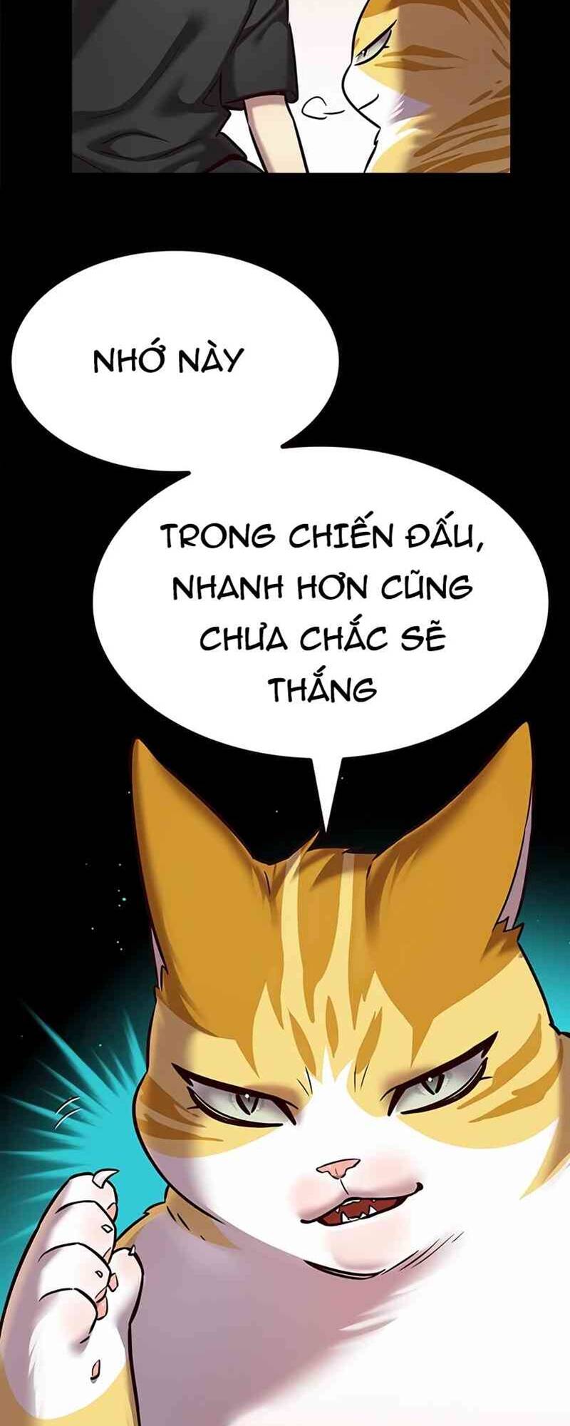 Hoá Thân Thành Mèo: Chapter 244