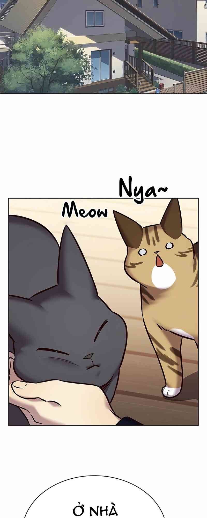 Hoá Thân Thành Mèo: Chapter 244