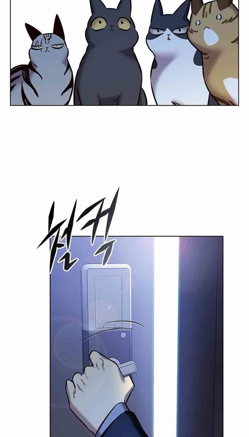 Hoá Thân Thành Mèo: Chapter 244
