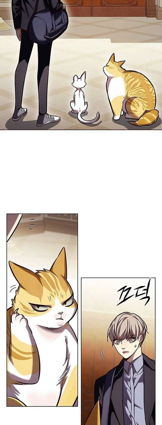 Hoá Thân Thành Mèo: Chapter 245