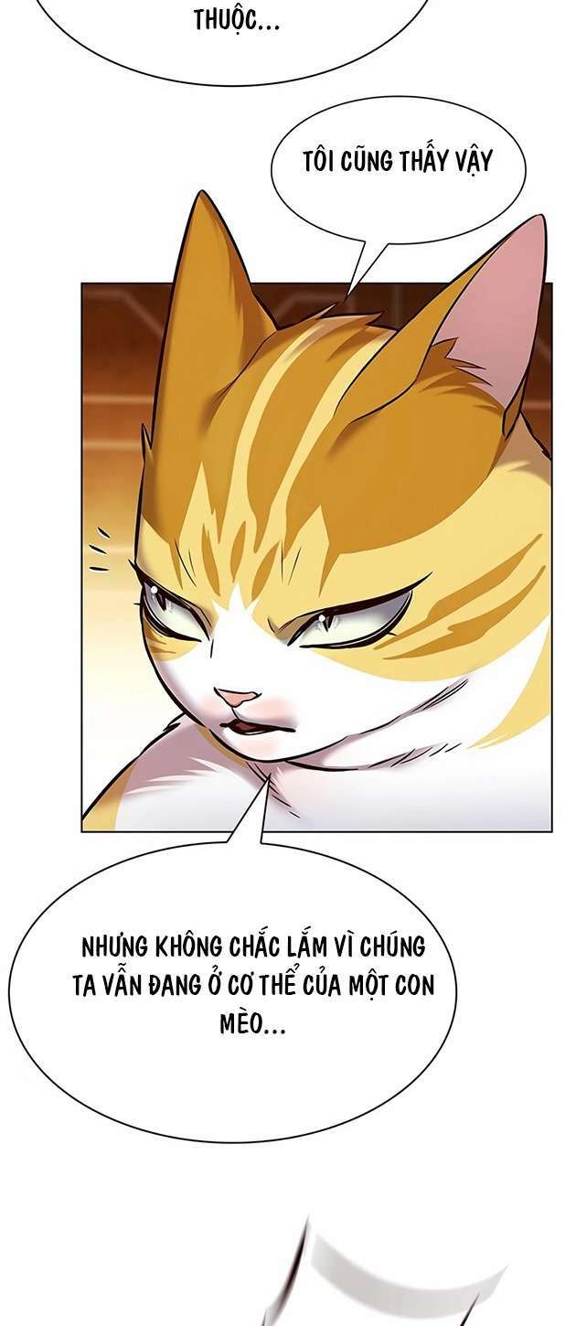 Hoá Thân Thành Mèo: Chapter 245