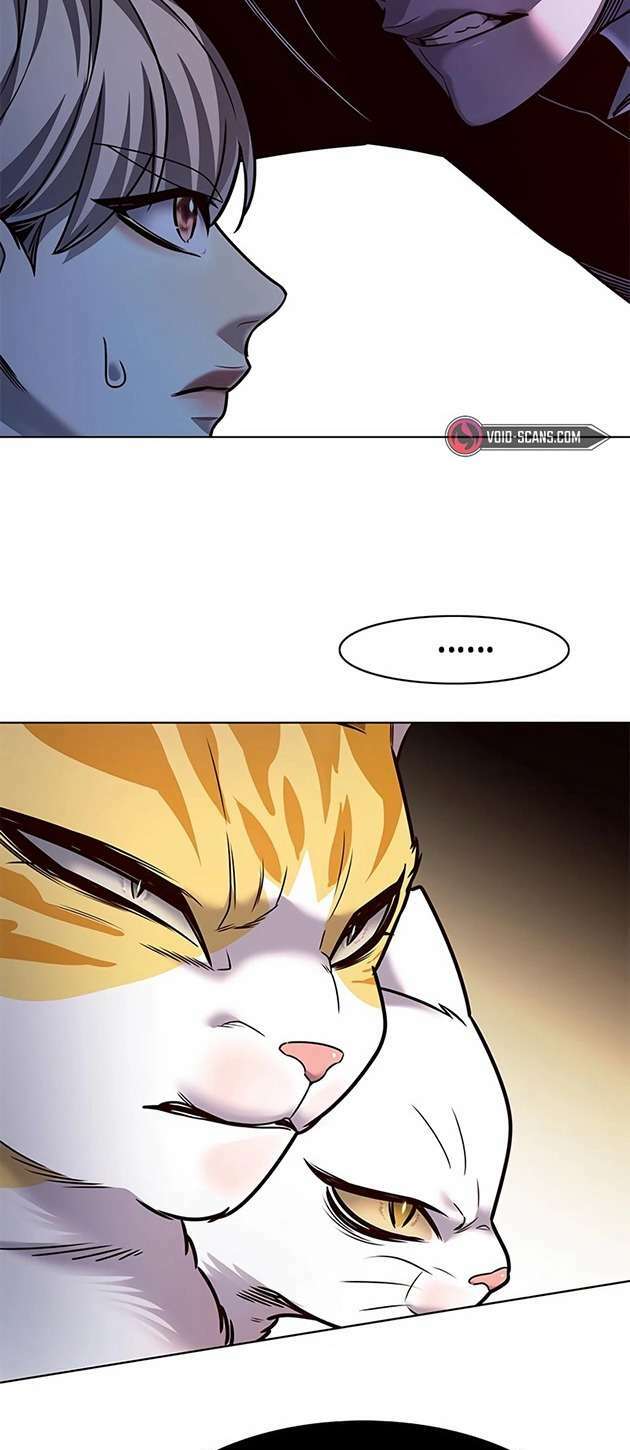 Hoá Thân Thành Mèo: Chapter 245