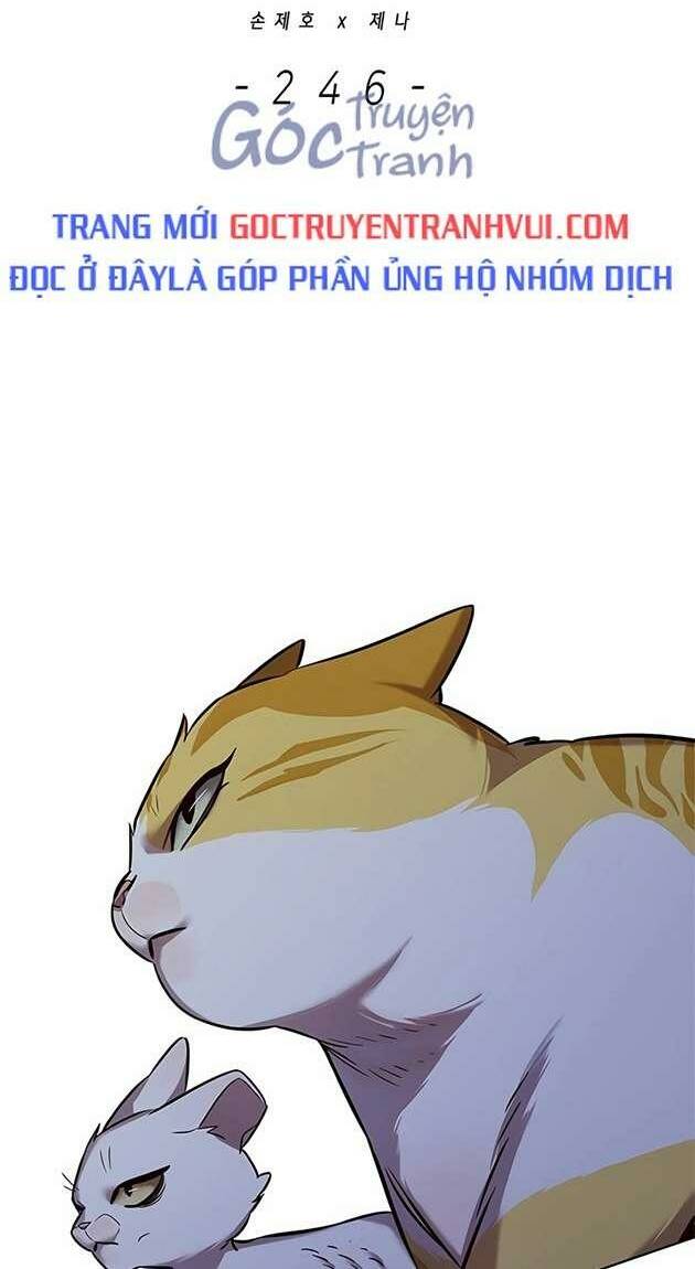 Hoá Thân Thành Mèo: Chapter 246