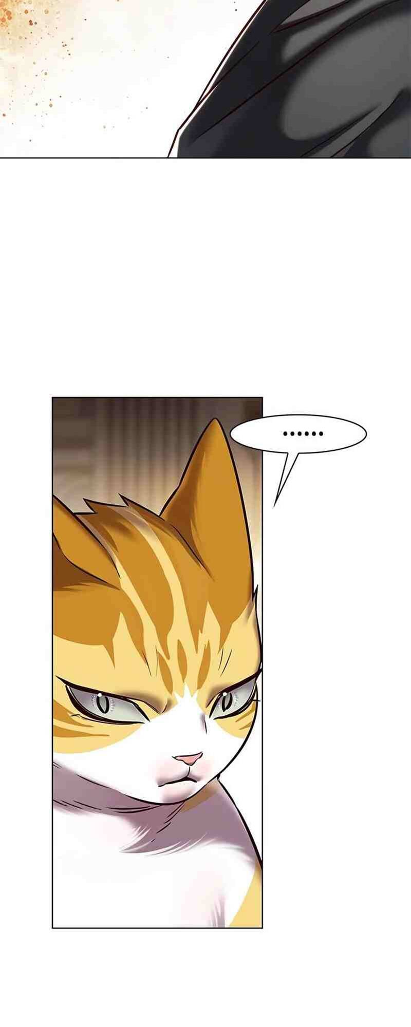 Hoá Thân Thành Mèo: Chapter 250