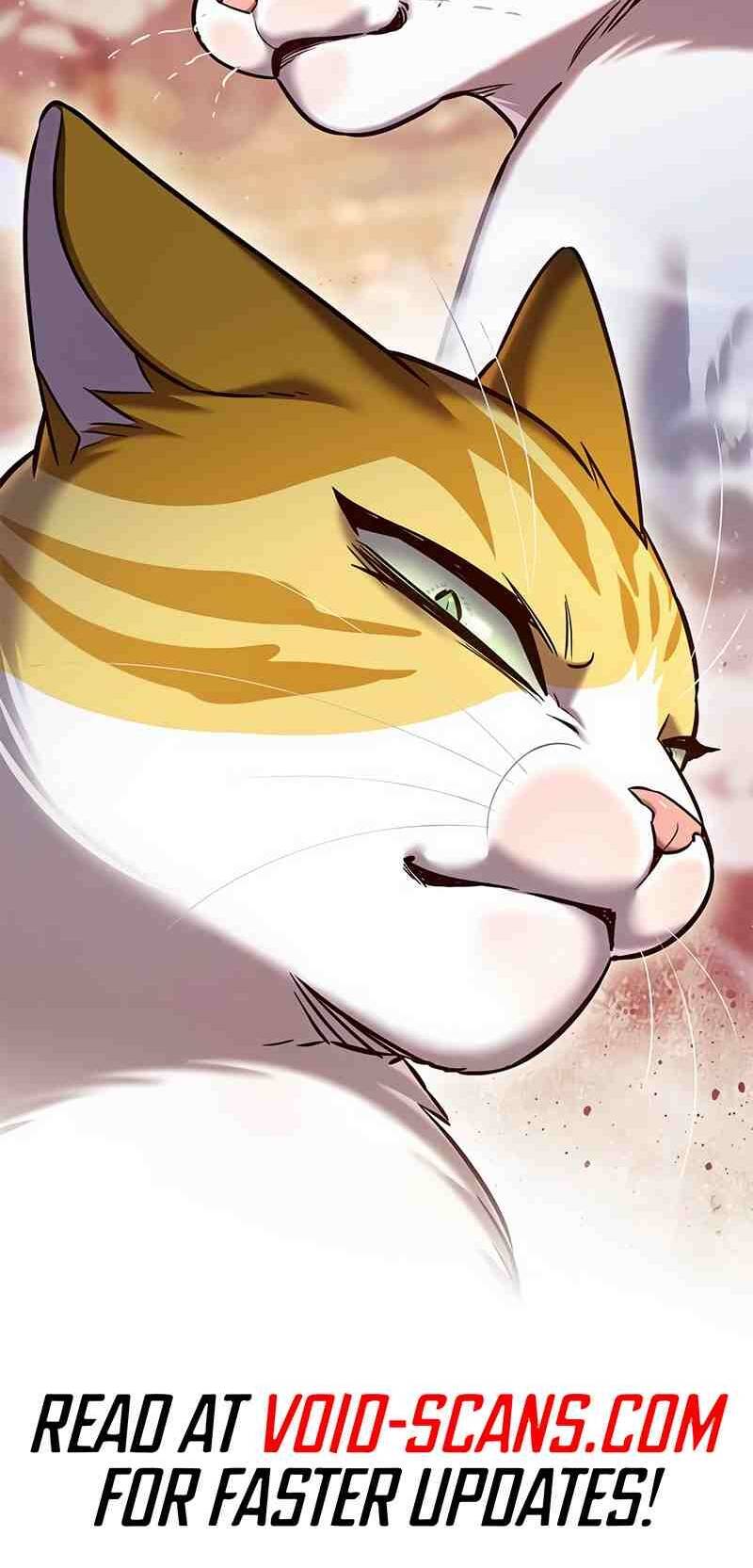 Hoá Thân Thành Mèo: Chapter 252