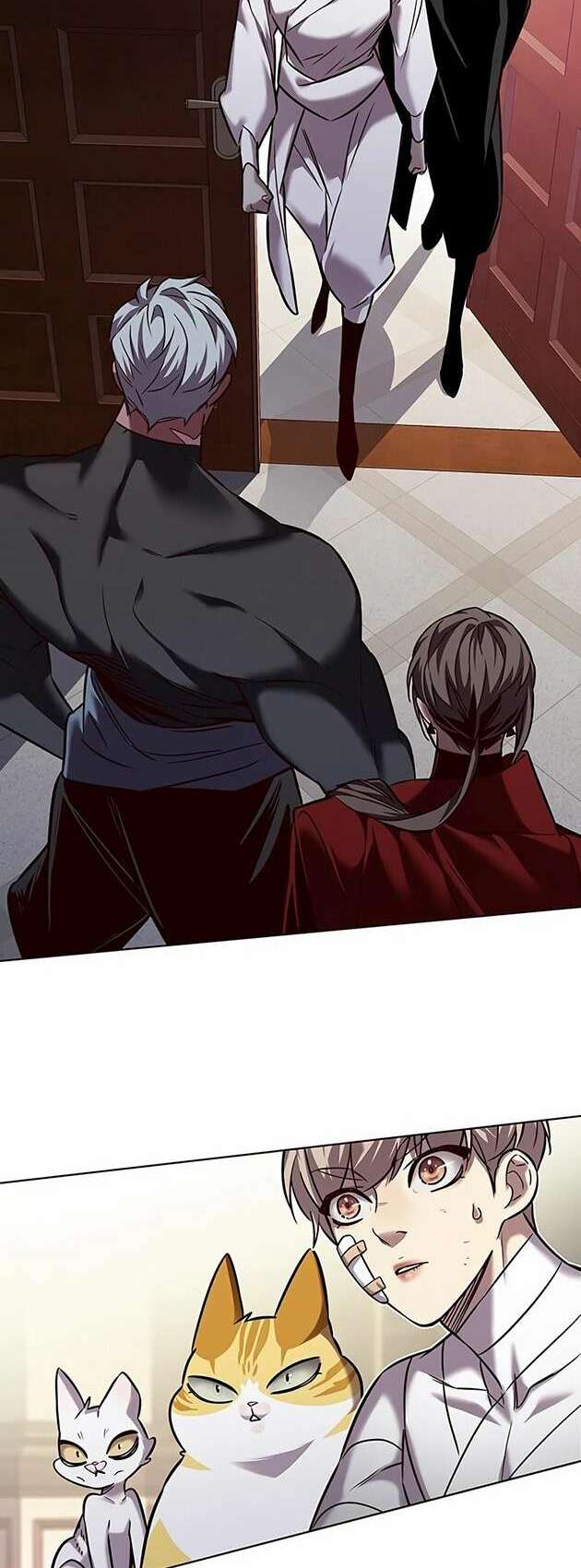 Hoá Thân Thành Mèo: Chapter 254