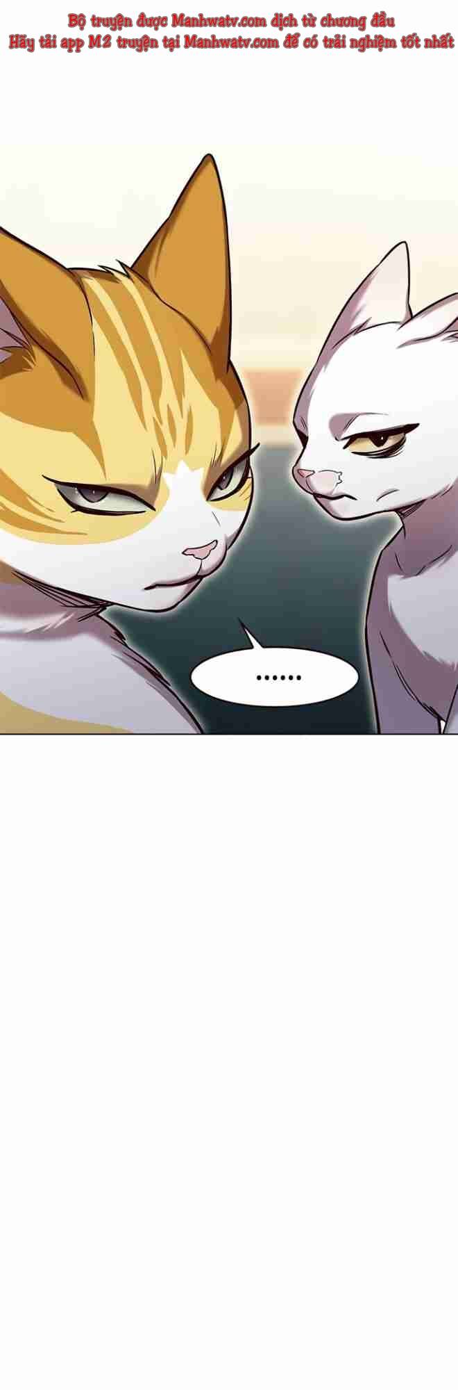 Hoá Thân Thành Mèo: Chapter 256