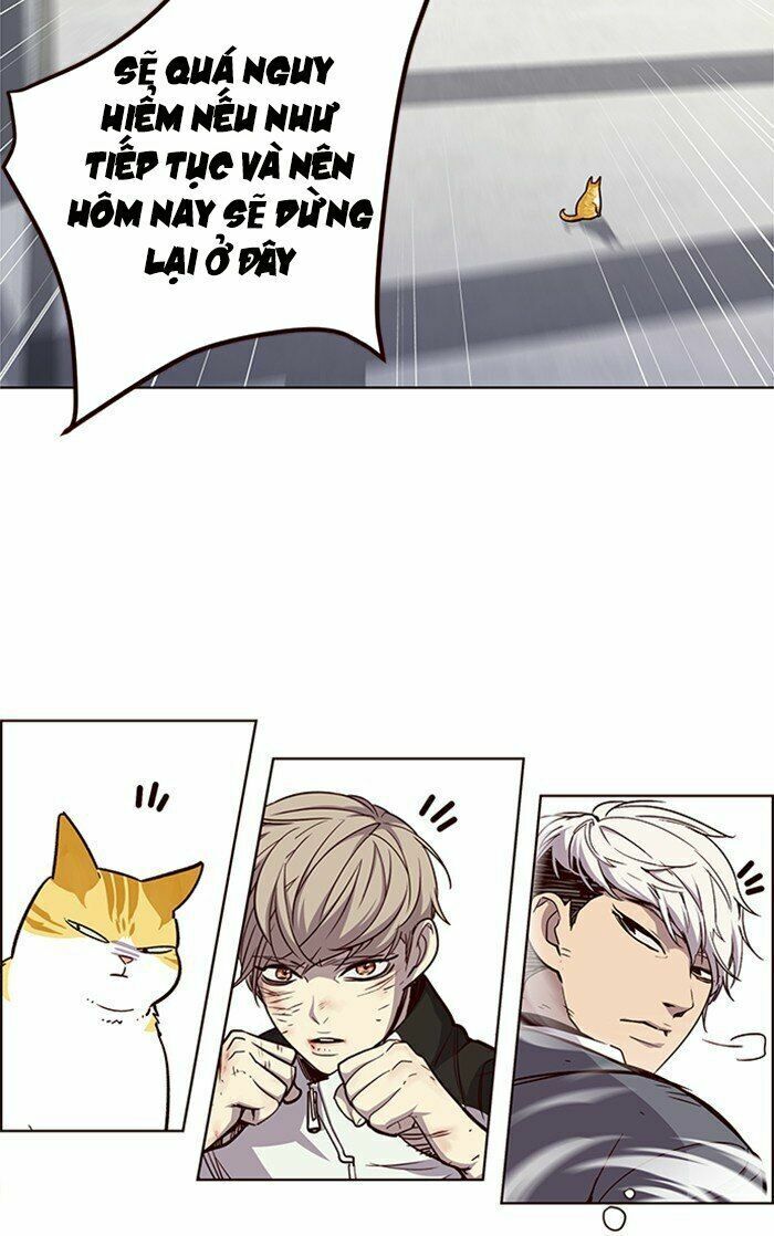 Hoá Thân Thành Mèo: Chapter 26