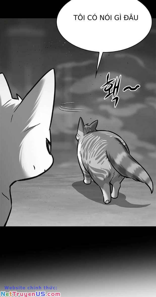 Hoá Thân Thành Mèo: Chapter 261