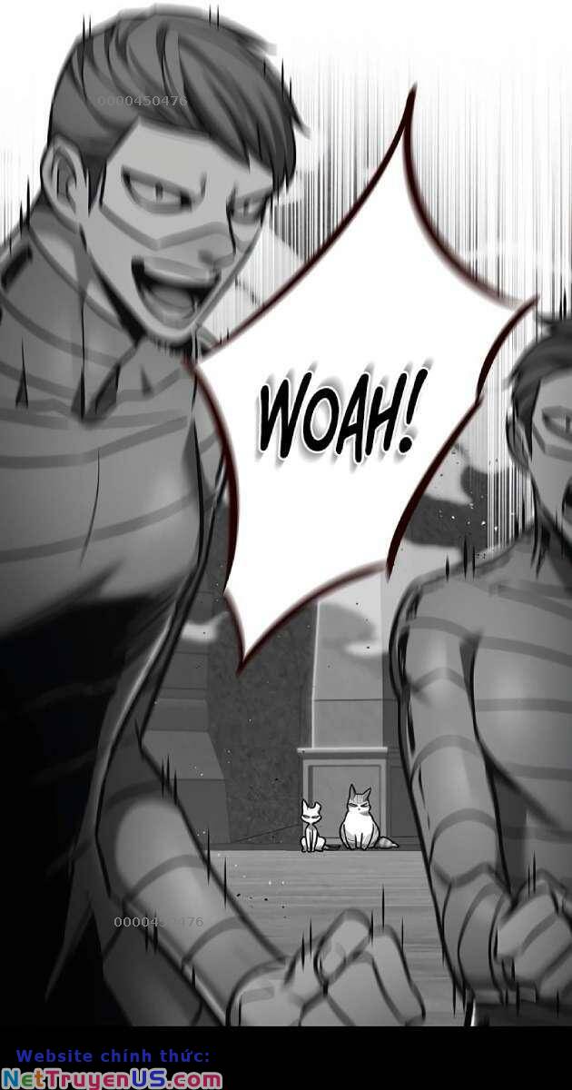 Hoá Thân Thành Mèo: Chapter 261