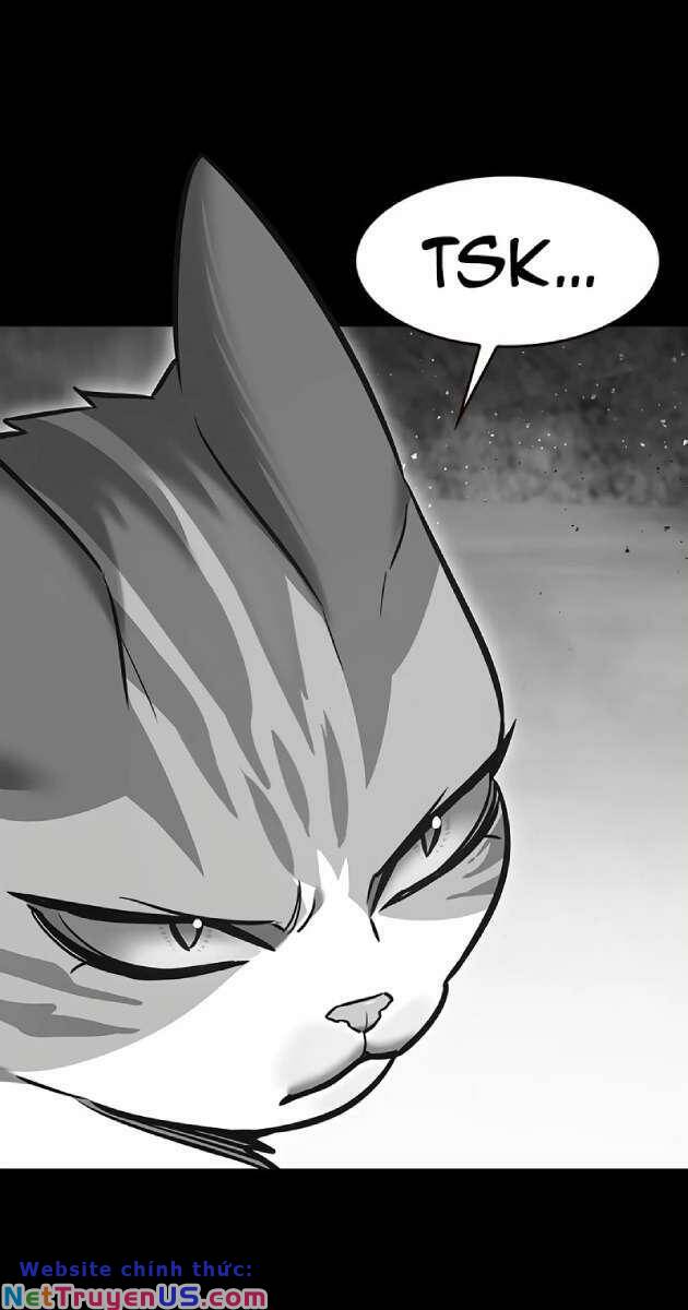 Hoá Thân Thành Mèo: Chapter 261