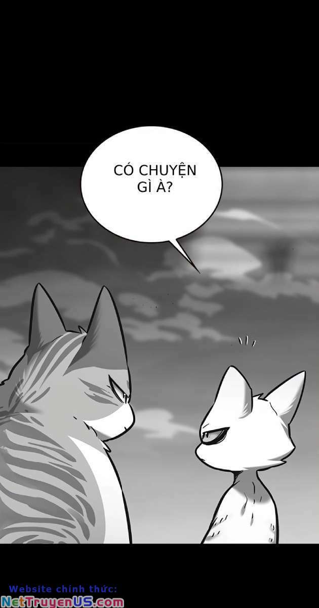 Hoá Thân Thành Mèo: Chapter 261