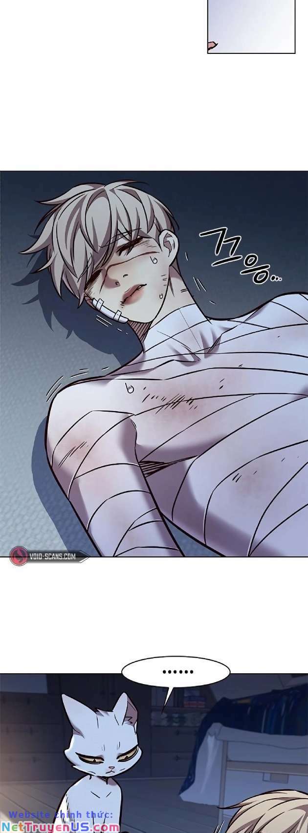 Hoá Thân Thành Mèo: Chapter 262