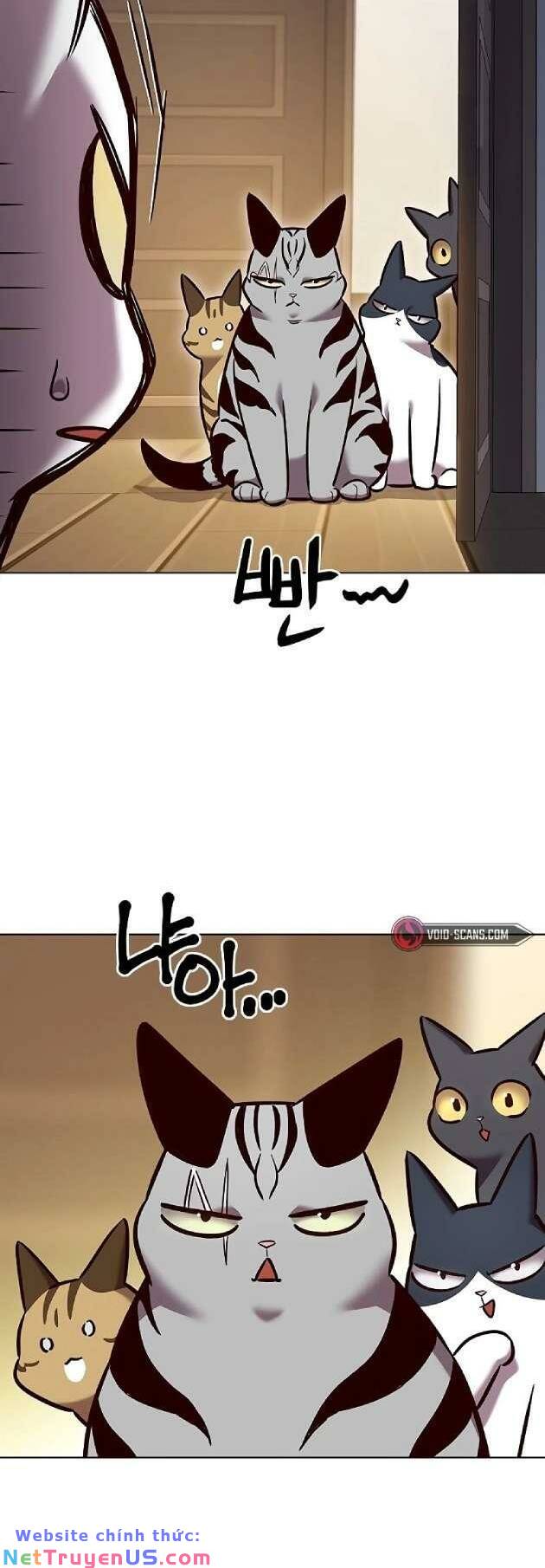 Hoá Thân Thành Mèo: Chapter 262