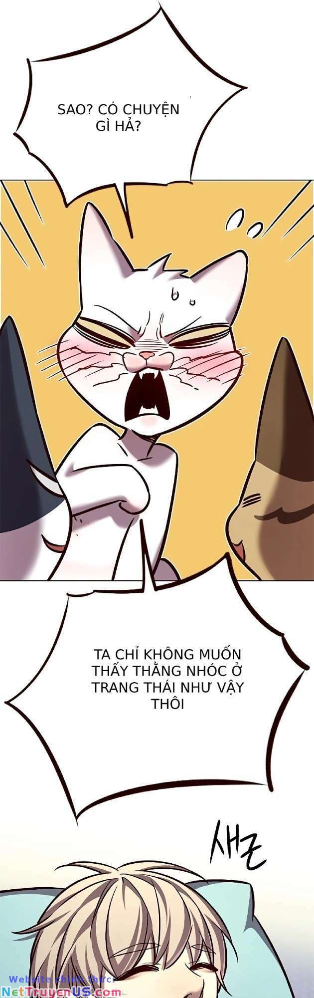 Hoá Thân Thành Mèo: Chapter 262