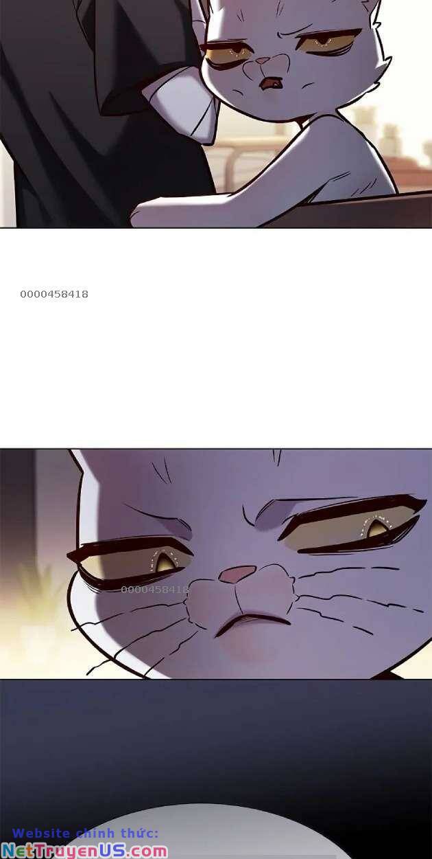 Hoá Thân Thành Mèo: Chapter 263