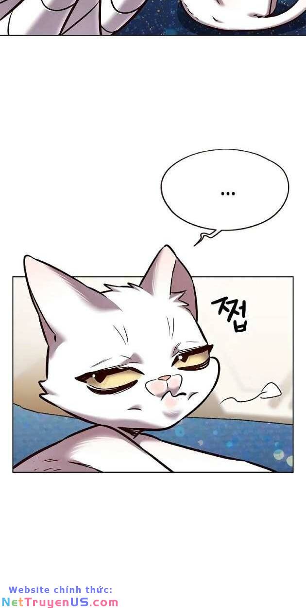 Hoá Thân Thành Mèo: Chapter 263