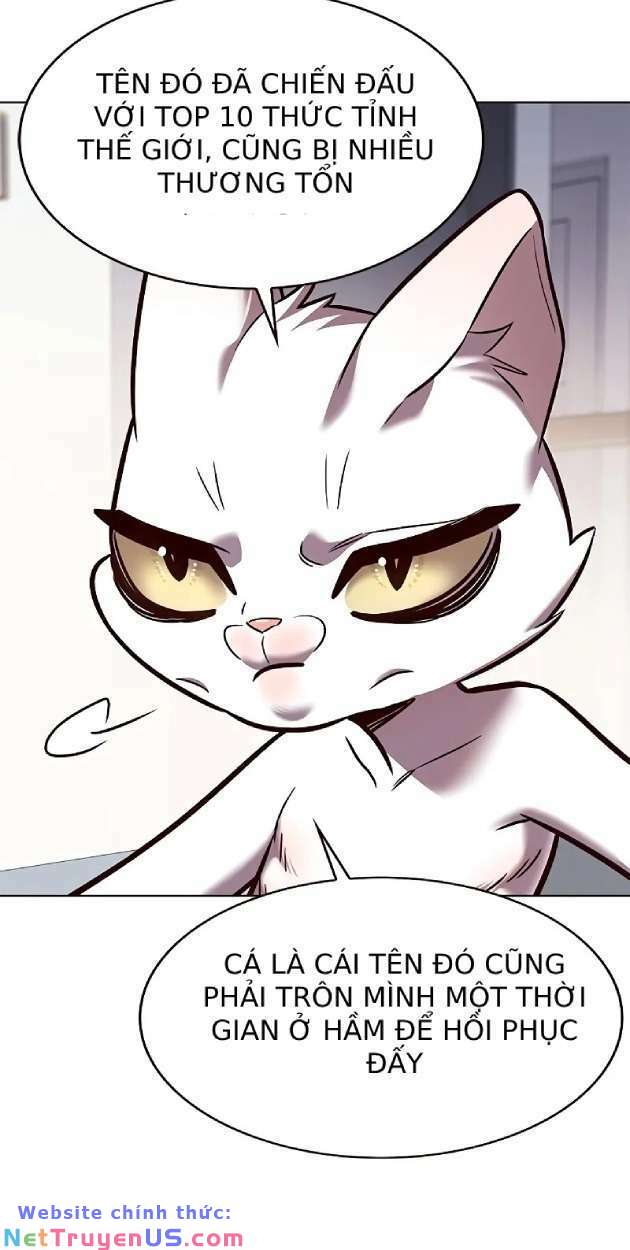 Hoá Thân Thành Mèo: Chapter 263