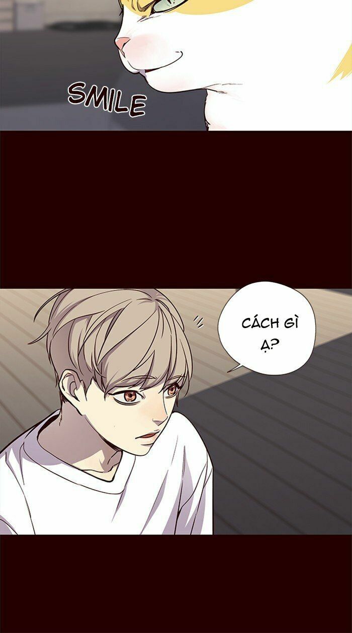 Hoá Thân Thành Mèo: Chapter 27