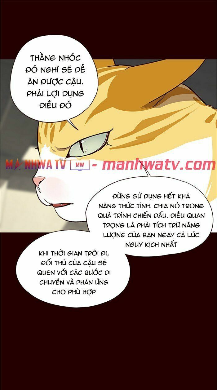 Hoá Thân Thành Mèo: Chapter 27