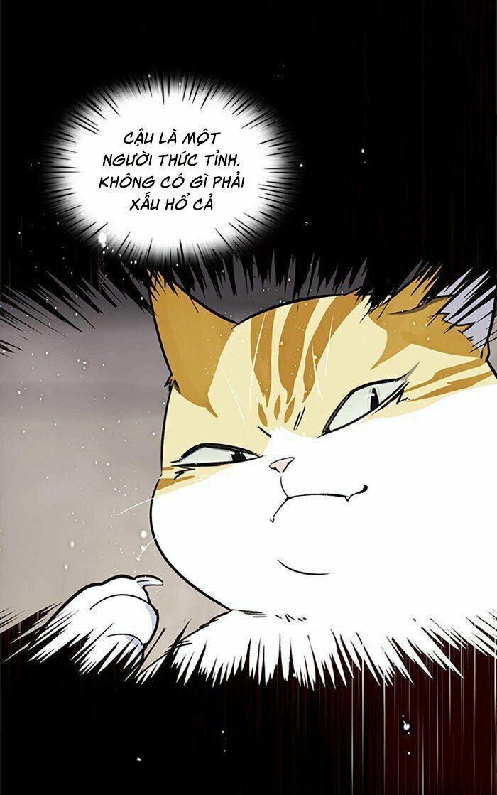 Hoá Thân Thành Mèo: Chapter 27