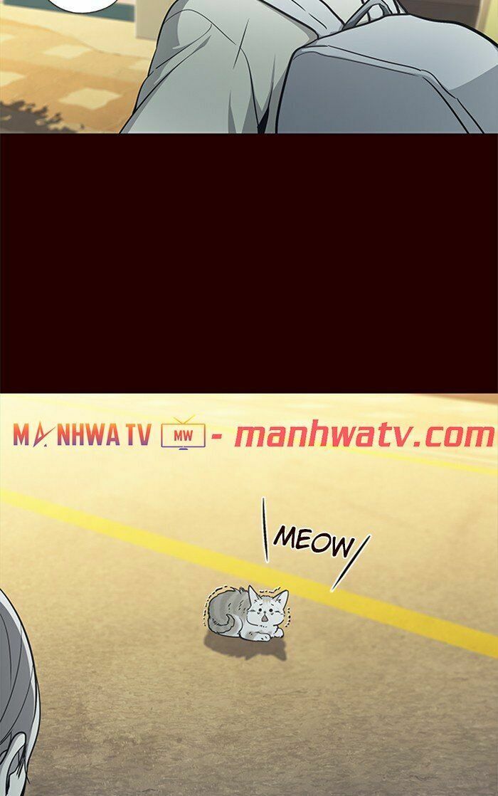 Hoá Thân Thành Mèo: Chapter 27