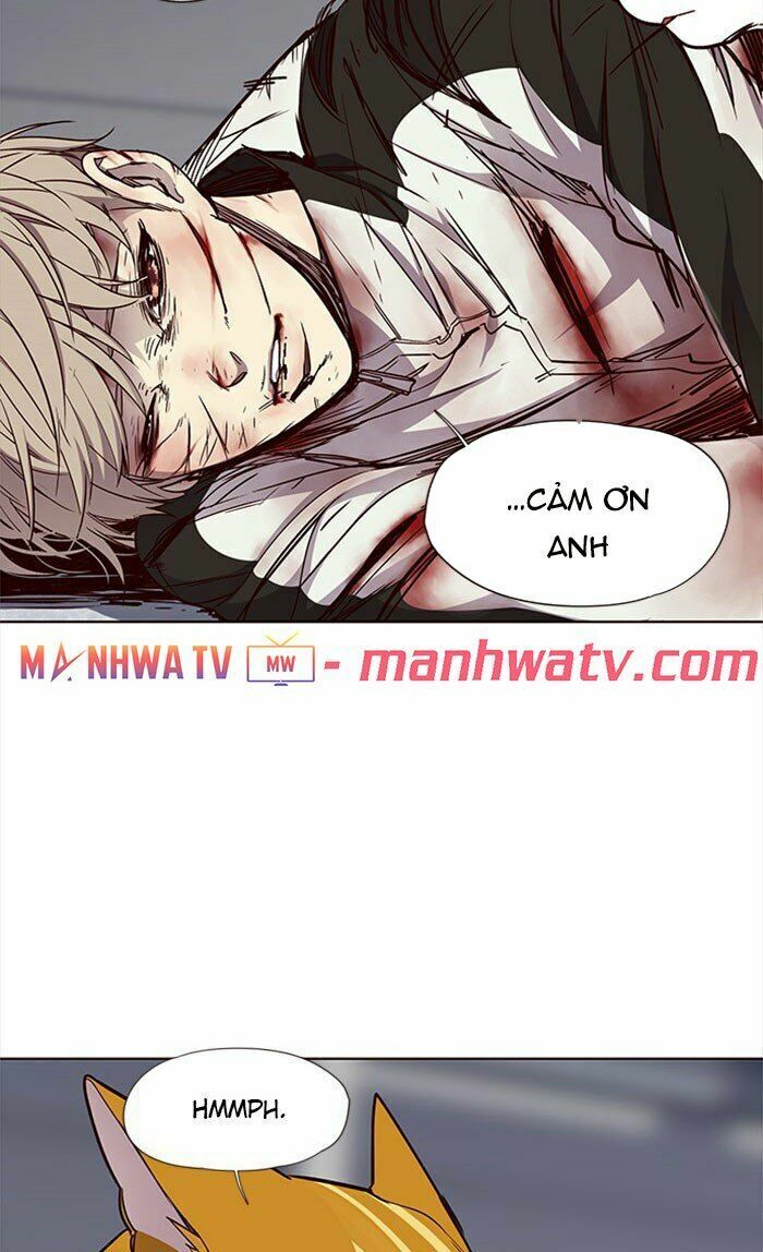 Hoá Thân Thành Mèo: Chapter 27