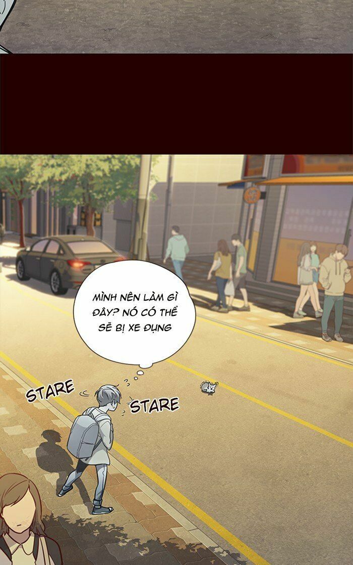 Hoá Thân Thành Mèo: Chapter 27