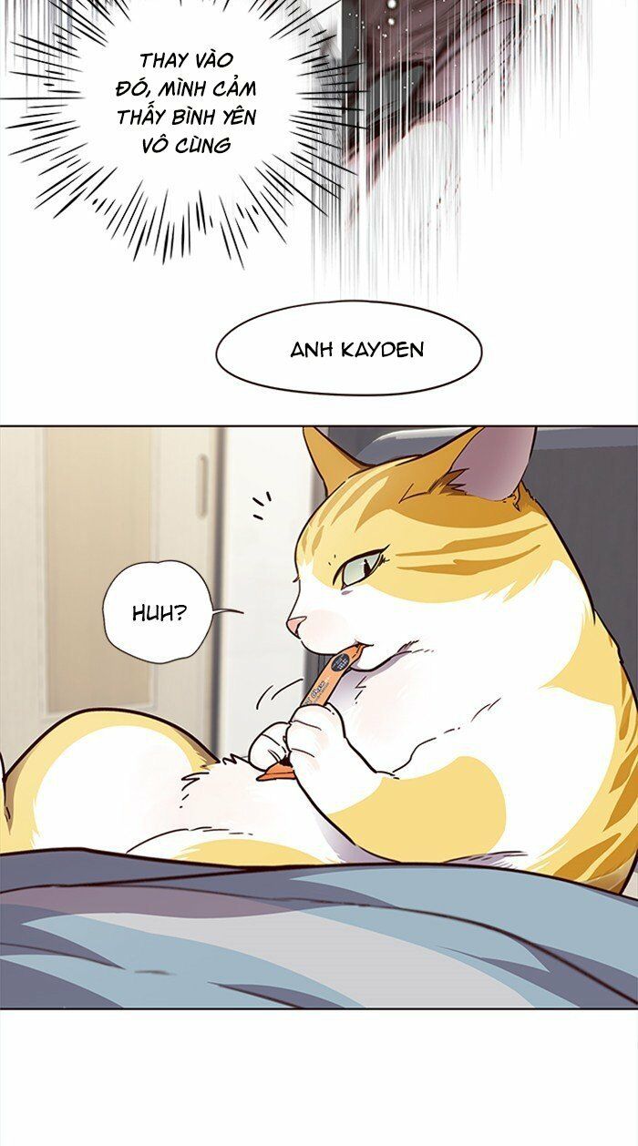 Hoá Thân Thành Mèo: Chapter 28