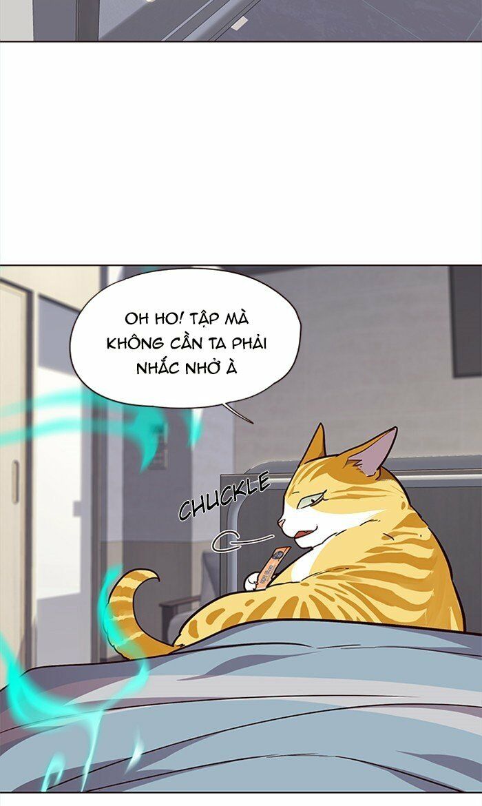 Hoá Thân Thành Mèo: Chapter 28