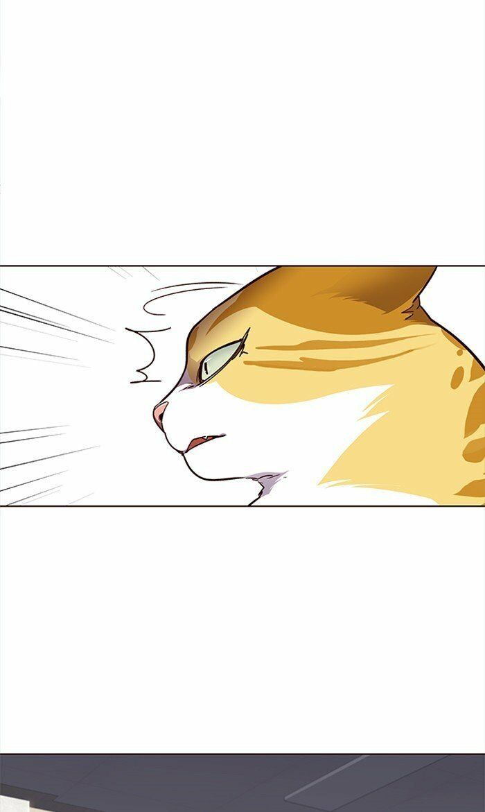 Hoá Thân Thành Mèo: Chapter 28