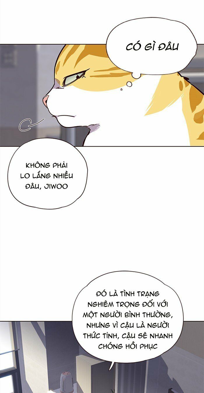 Hoá Thân Thành Mèo: Chapter 28
