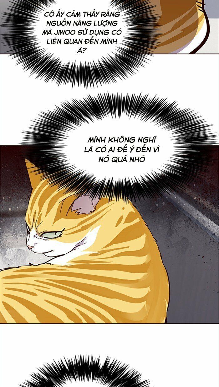 Hoá Thân Thành Mèo: Chapter 28