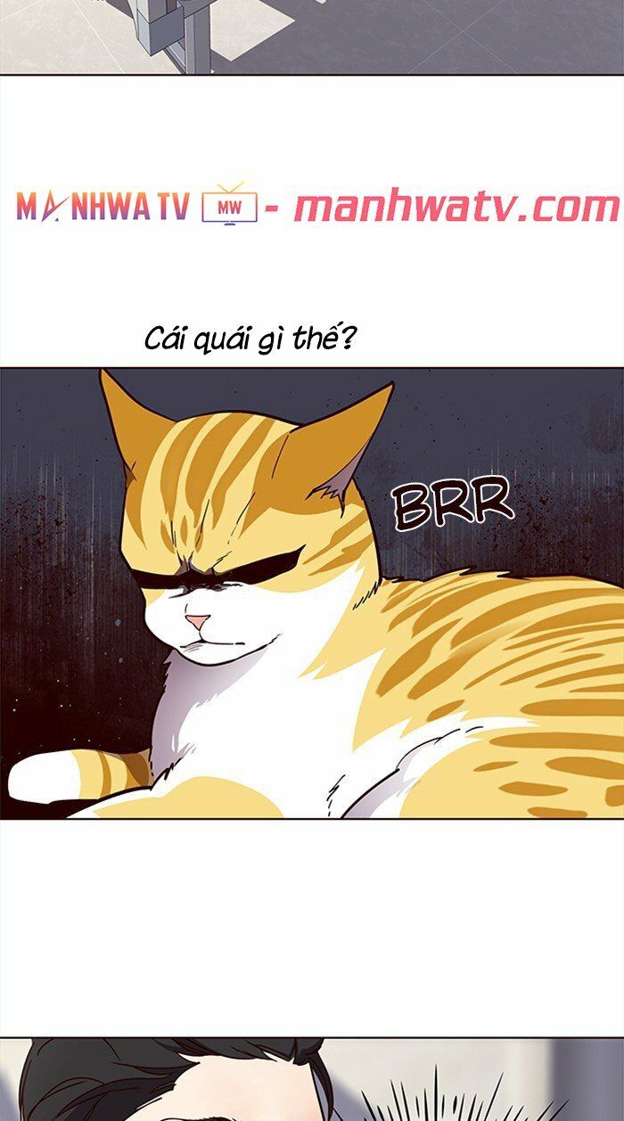 Hoá Thân Thành Mèo: Chapter 28
