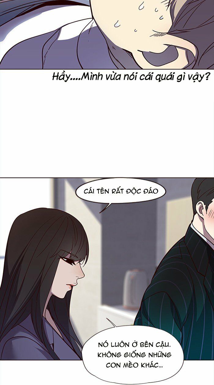 Hoá Thân Thành Mèo: Chapter 28