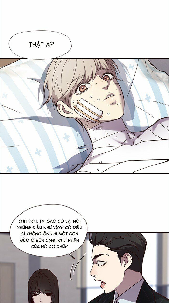 Hoá Thân Thành Mèo: Chapter 28